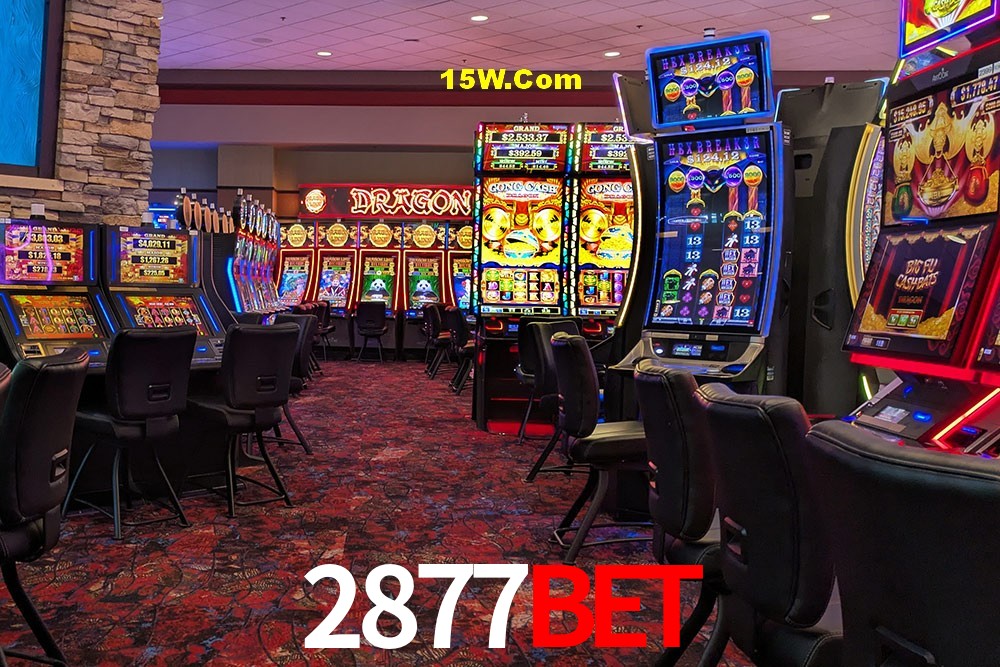 Player Reviews 2877Bet
